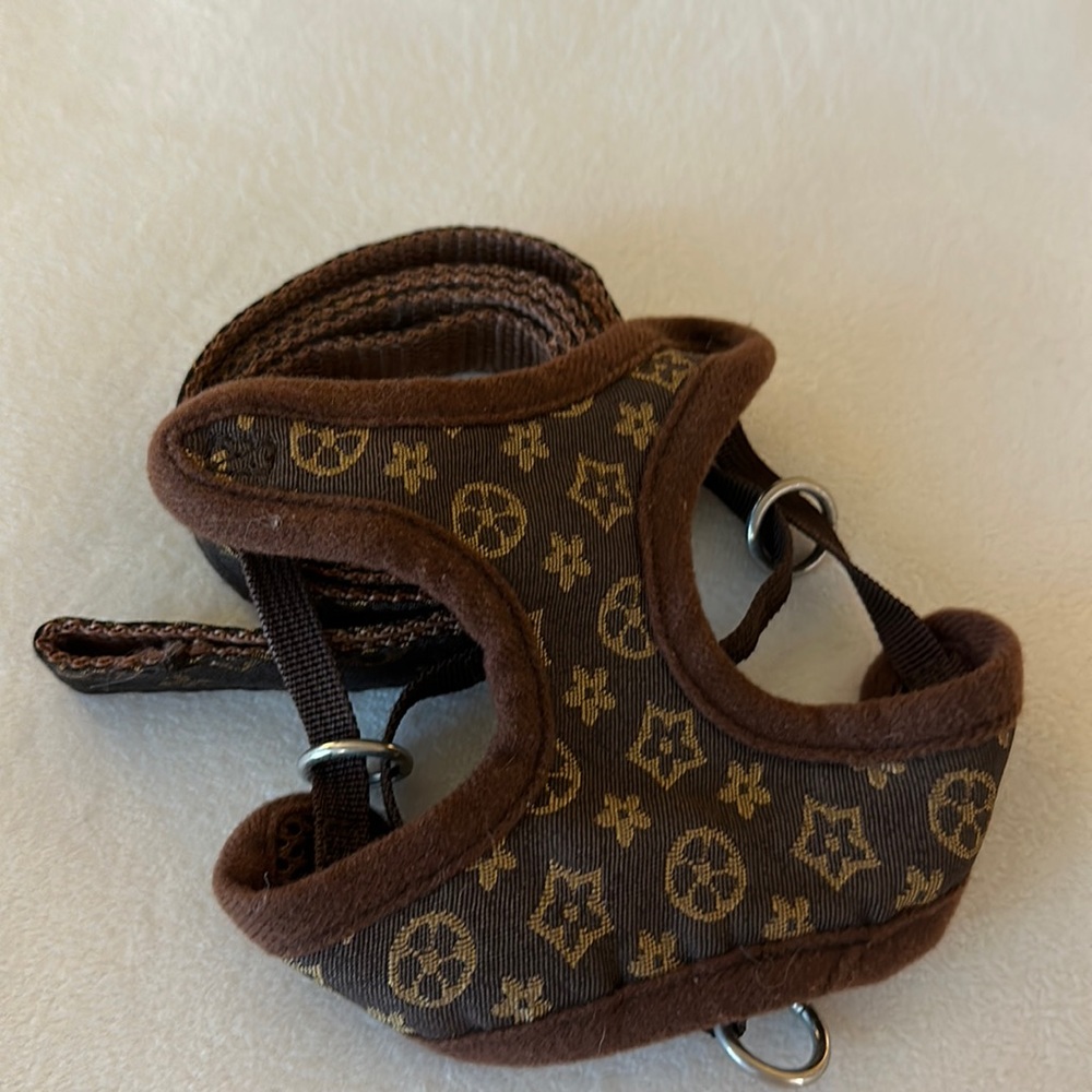 Cute, harness and leash